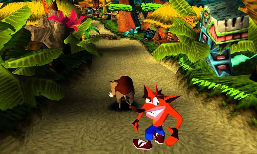 Crash bandicoot